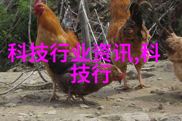 抓住急救黄金4分钟 AED救在身边